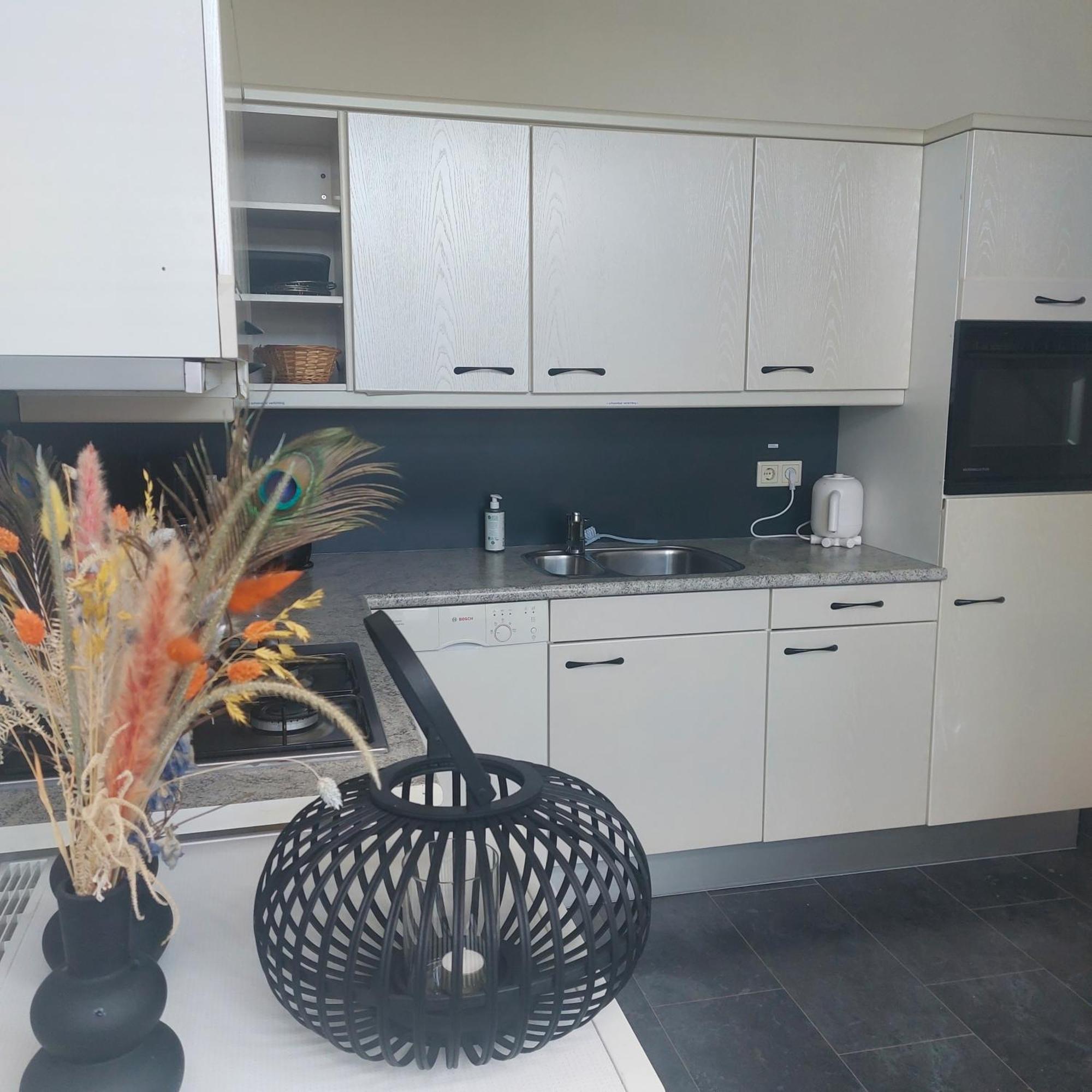 Hof Christina Vakantiewoningen Vrouwenpolder Esterno foto